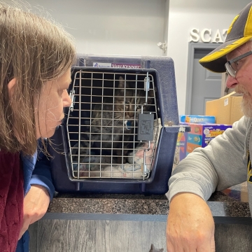 Wishbone is fostered!