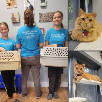 Chimichurri and Chimichanga have been fostered!